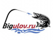 Bigulov