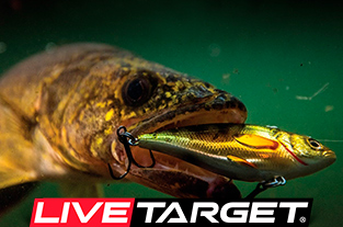 LiveTarget со скидкой -30% LiveTarget со скидкой -30%