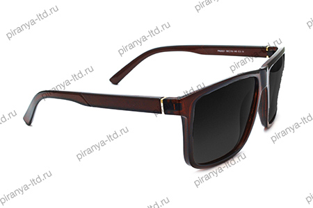 Очки поляризационные Nautilus X04 линзы ТАС GRADIENT серые - купить по доступной цене Интернет-магазине Наутилус