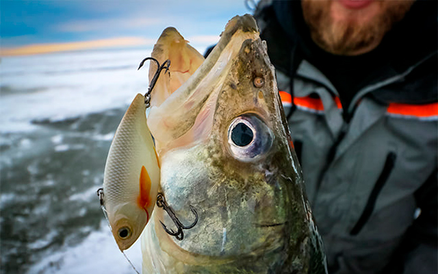 7a06dc6d6aa9885551a67c4911a0e7dc.jpg 7a06dc6d6aa9885551a67c4911a0e7dc.jpg