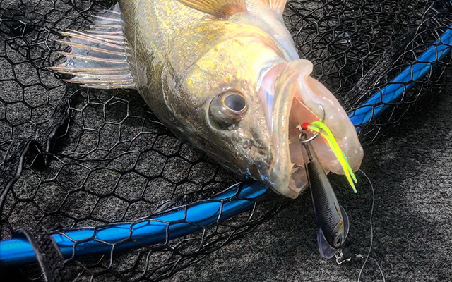 ca9bcf1ad70dc32ed32578463ac578e3.jpg ca9bcf1ad70dc32ed32578463ac578e3.jpg